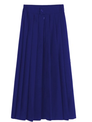 Elastic Waist Pleated Long Skirt