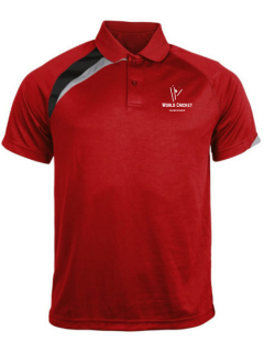 Customized Unisex Polo Sports T-Shirt