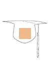 Graduation Cap +<span class='WebRupee'>Rs</span>209