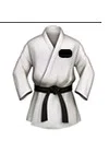 Karate Uniform +<span class='WebRupee'>Rs</span>156