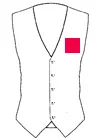 Waist Coat Front +<span class='WebRupee'>Rs</span>261